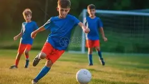 kaiyun·开云（中国）