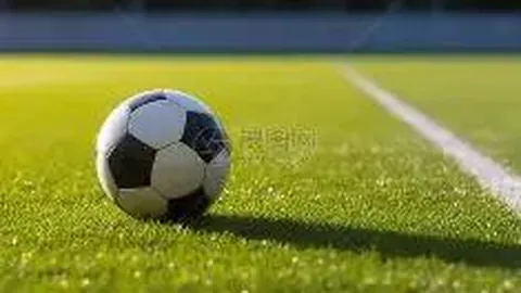 “布朗尼·詹姆斯续约4年共赚7900万，开启新秀征程”